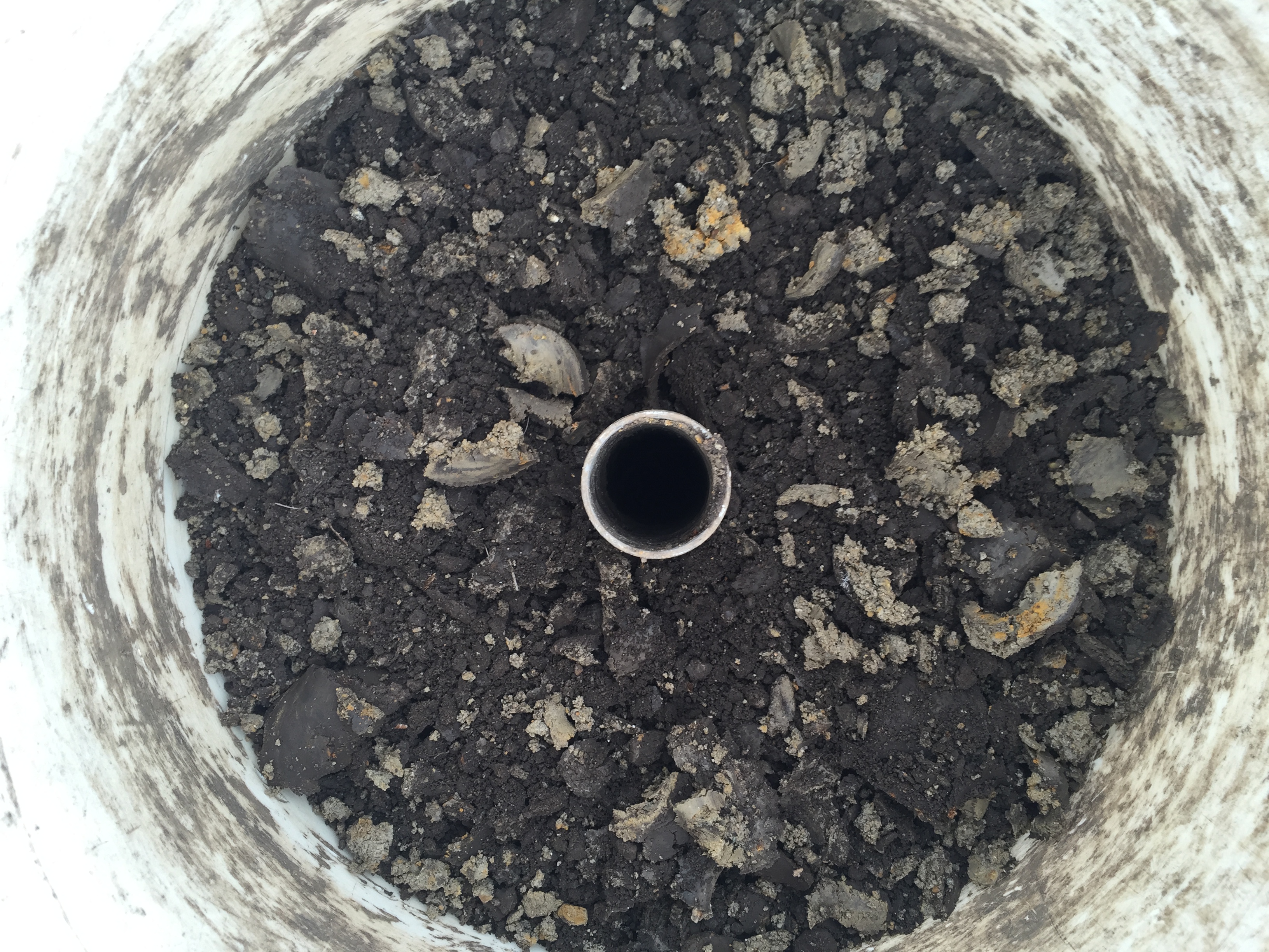 picture of soil sampling